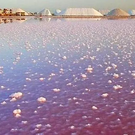 Apartment Modern In / 85 Sqm / Near The Torrevieja